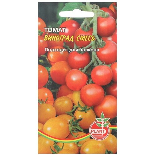 Семена Томат Плант Виноград, смесь, 25 шт. семена томат плант новогогошары 20 шт