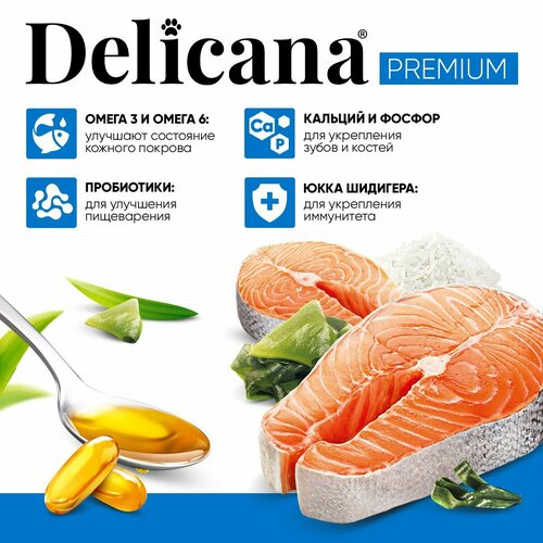 Delicana Корм сухой для собак крупных пород Лосось с рисом, 15 кг