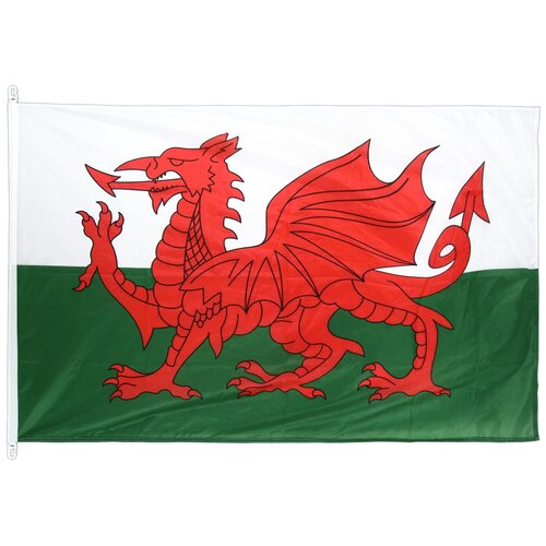Флаг Уэльса с карабинами 90х135 см