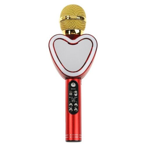 Микрофон для караоке Q5 3 Вт 1800 мАч Bluetooth FM microSD красный 131000₽