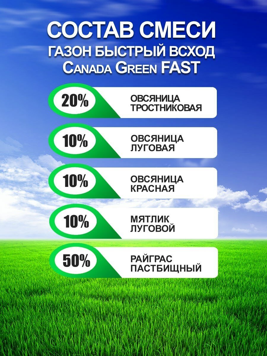 Газонная трава семена Канада Грин Быстрорастущий FAST/ мятлик райграс овсяница семена для газона