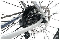 Дорожный велосипед Format 5221 (2019) серый 55 см (требует финальной сборки)
