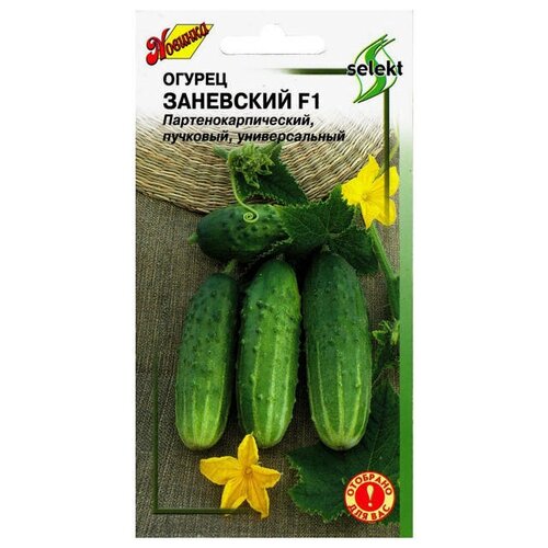 Семена Огурец Заневский F1 10шт для дачи, сада, огорода, теплицы / рассады в домашних условиях