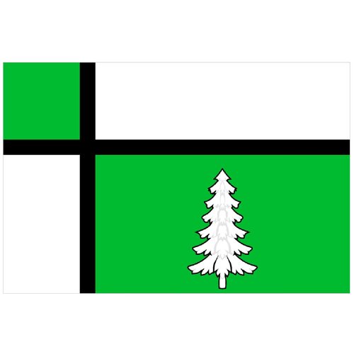 Флаг города Тайшет