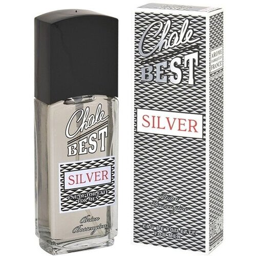 Positive Parfum men (brian Bossengton) Chale Best - Silver Туалетная вода 95 мл. brian bossengton туалетная вода chale best digger 95 мл 100 г