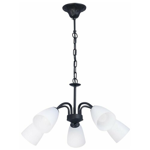 Люстра классическая на цепи с пластиковыми плафонами RS204/5, светильник потолочный, освещение для дома, подвесная лампа для кухни, спальни, коридора, 5*Е14, черная