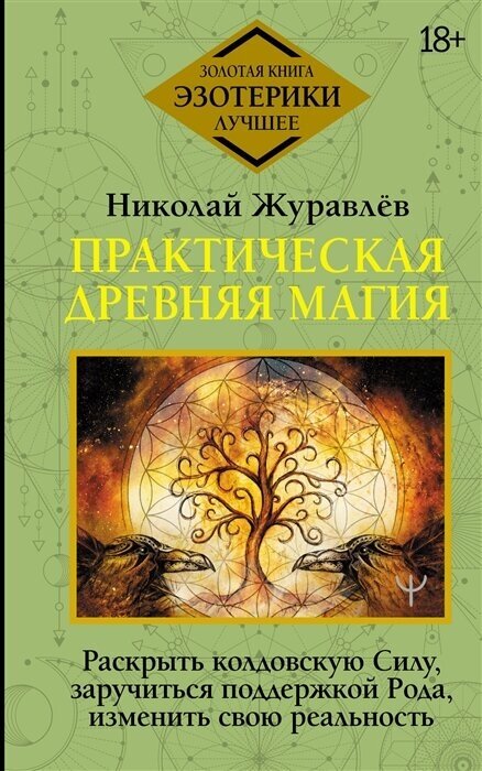 Практическая древняя магия. Раскрыть колдовскую Силу, заручиться поддержкой Рода, изменить свою реальность