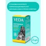 Лактобифид, пробиотический функциональный корм, 2 шт, VEDA - изображение