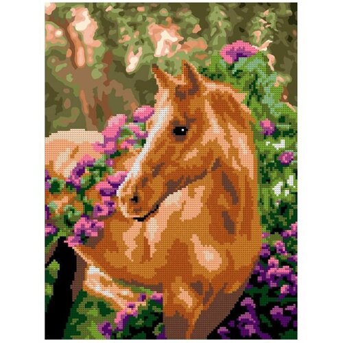 Алмазная мозаика Лошадка в цветах 30x40см Ам-052 LORI