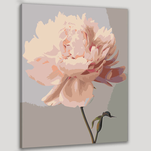 Изображение товара Картина по номерам 40x50 см, пион, цветок, крупный план, лепестки, мягкий, бархатистый, освещение, солнечный свет