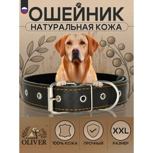 Ошейник для собак Oliver из натуральной кожи на мягкой подкладке из синтепона / XXL / Черный