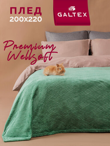 Изображение товара Плед "Константа изумрудный", 200x220 см, велсофт, 100 % полиэстер от Galtex