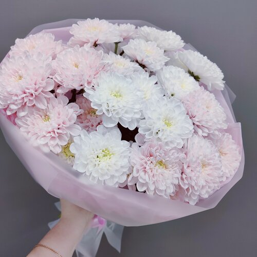 Изображение товара Букет из пышны кустовых хризантем белого и розового цвета 5 штук " Клубничный мусс" круглый