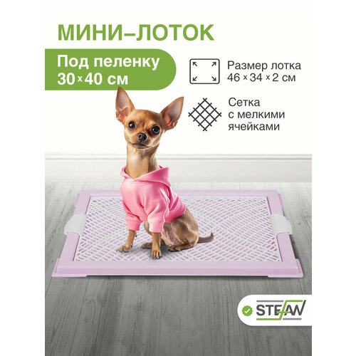 Туалет-лоток для собак с сеткой мини (XS) STEFAN (Штефан) размер 46х34см, цвет лиловый BP1044