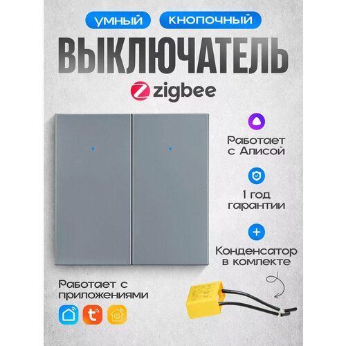 Умный выключатель Zigbee Easy Tech, кнопочный двухклавишный переключатель света, серый
