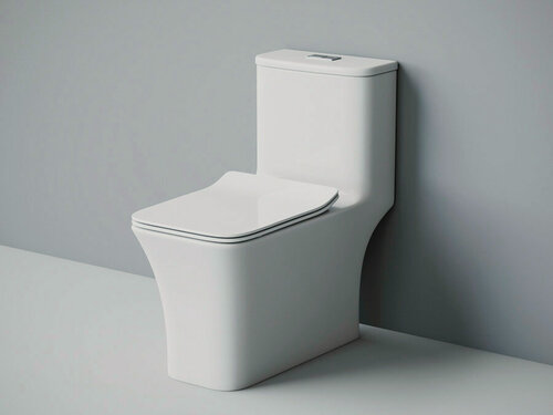 Изображение товара Унитаз-моноблок EVA GOLD SM9615