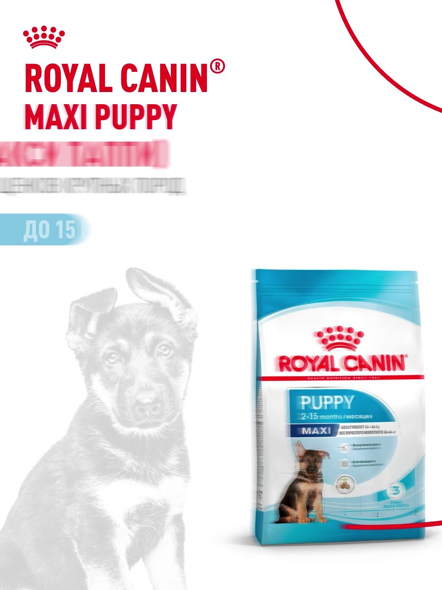Сухой корм для щенков Royal Canin Maxi Puppy для крупных пород, 3 кг — фото 1