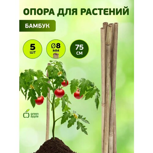 фото Опора для растений и цветов green apple бамбуковая gbs-8-75 поддержка для растений 75см 5шт. х 8мм