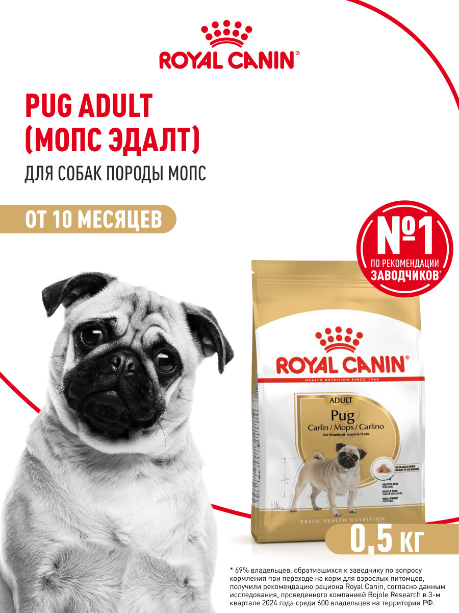 Сухой корм для собак Royal Canin Adult для породы мопс, 0,5 кг — фото 1