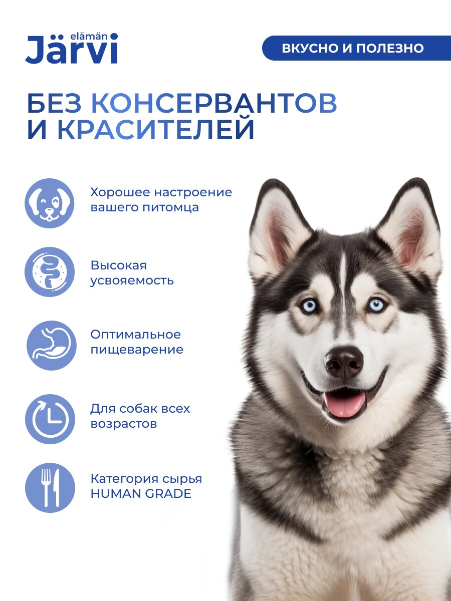 Jarvi мясной паштет с ягненком для собак всех пород (100 г.) - фото №2