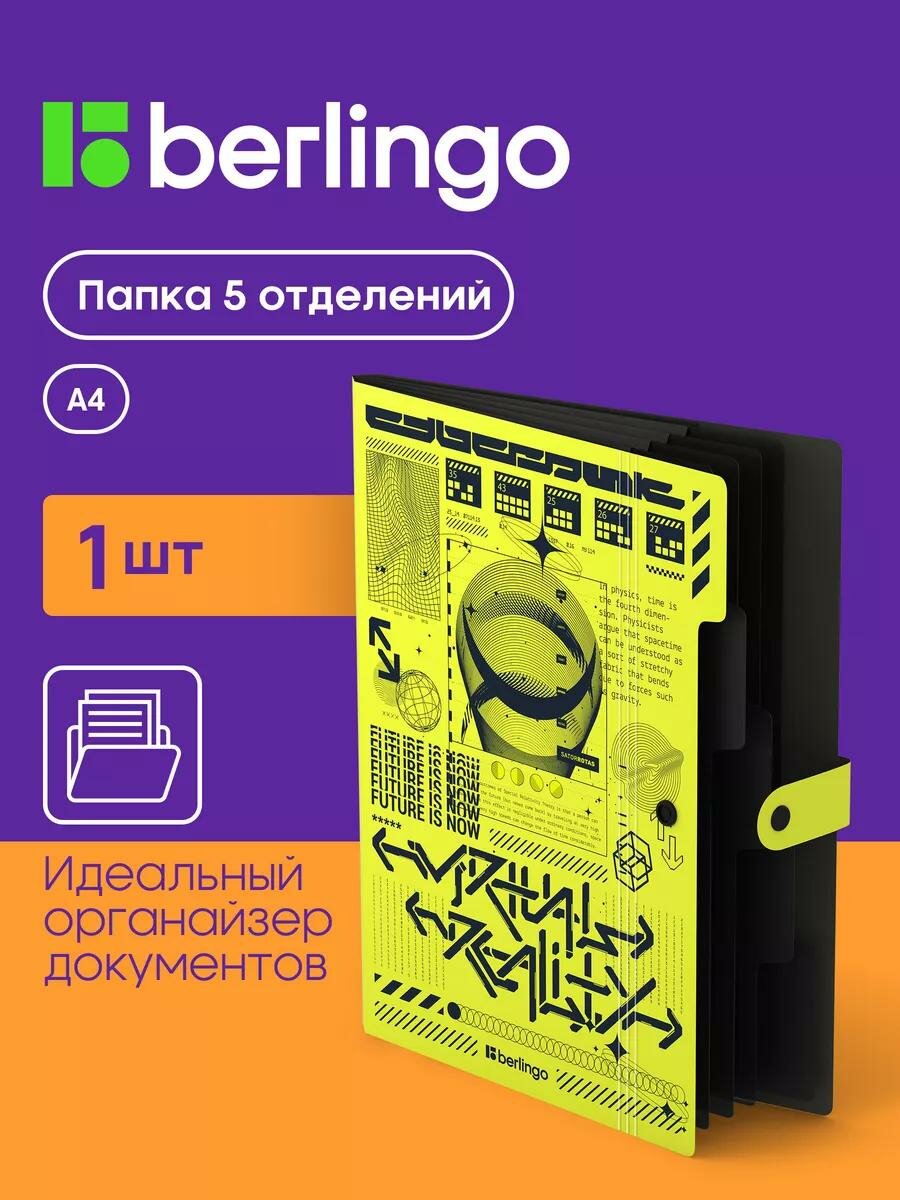 Папка для документов А4, органайзер 5 отделений, семейная, на кнопке