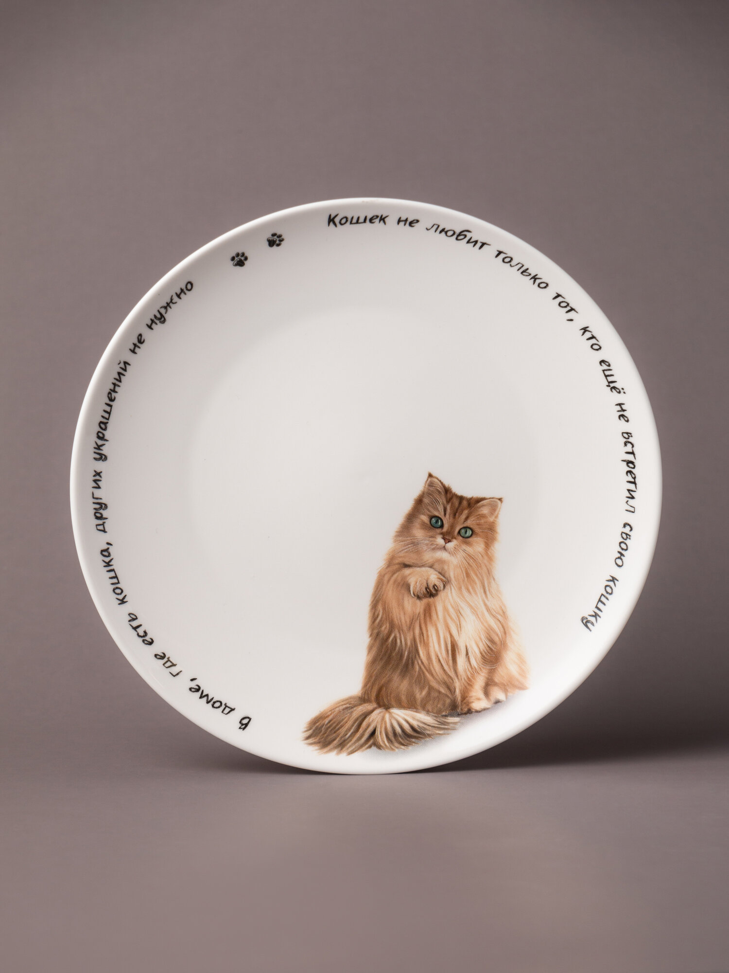Тарелка Lefard "Бери кота", закусочная, 1 шт, фарфоровая, 20,5 см