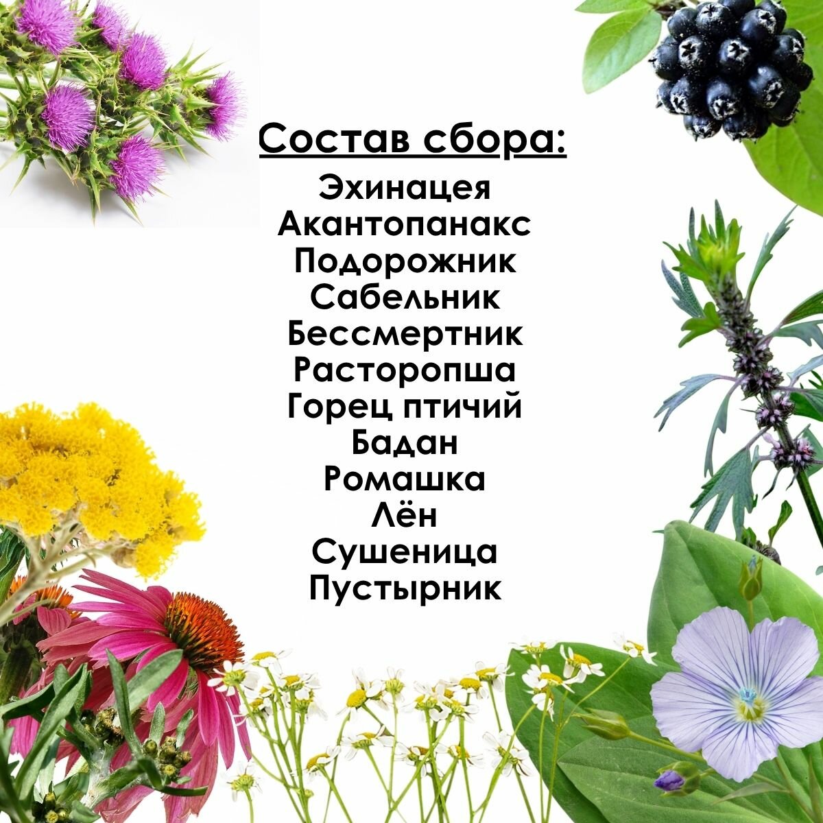 Картинки Сбор при химиотерапии Фито-Аптекарь, при химио и лучевой терапии, поддержка органов кроветоврения, печени, почек, 200гр
