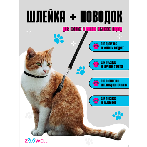 Мягкая кошачья шлейка жилетка с поводком ZOOWELL для маленьких пород собак, кроликов, кошек до 5,5 кг, черная
