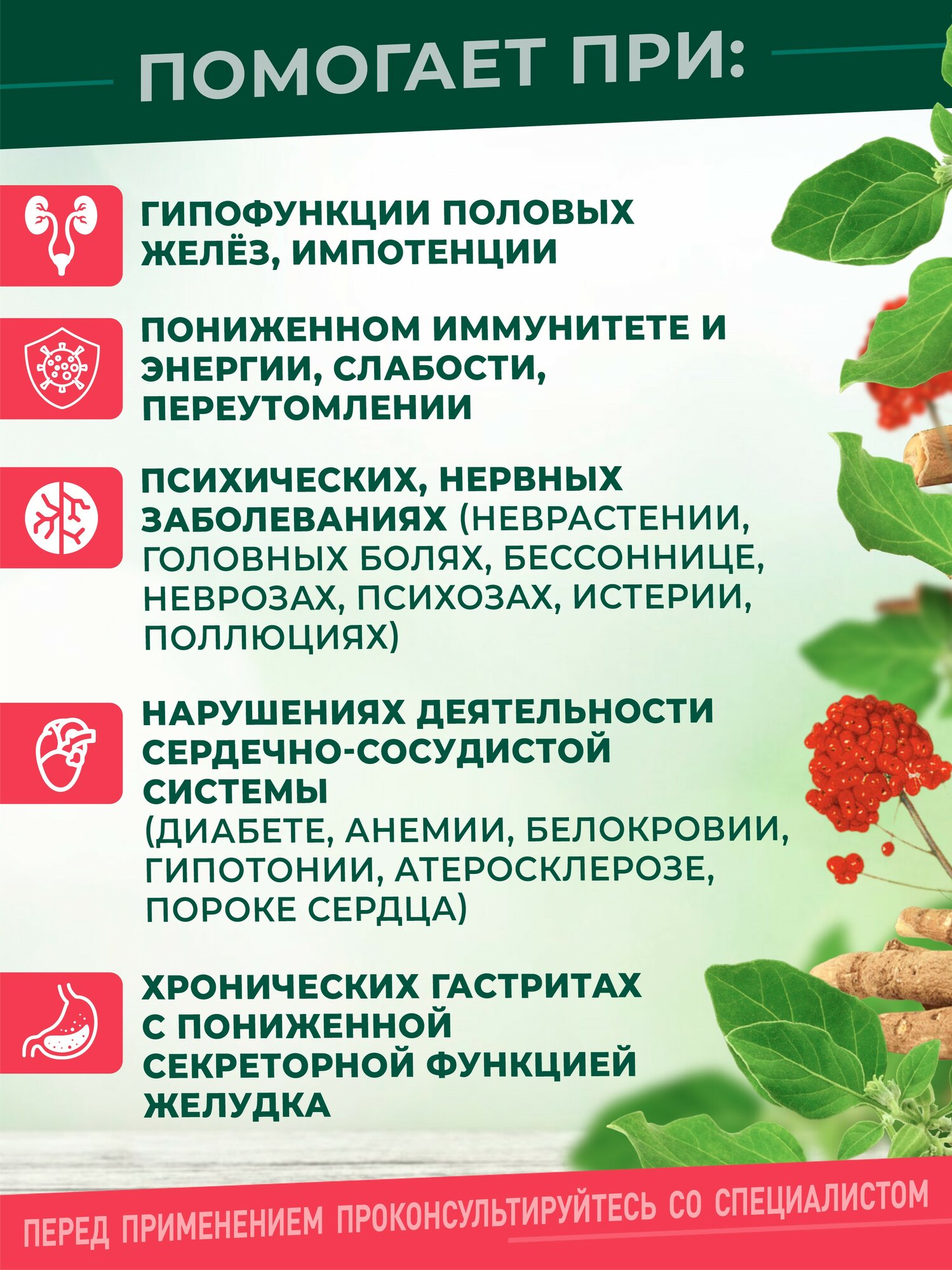 Изображение Экстракт корня Женьшеня настоящего Безалкогольный для энергии и иммунитета - Алтайский заготовитель, 200 мл