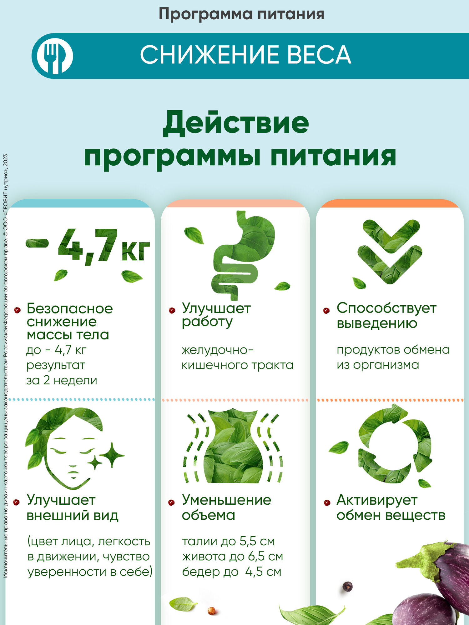 Изображение Меню Снижение веса 30 блюд кейс Худеем за неделю Леовит программа питания жиросжигатель для похудения