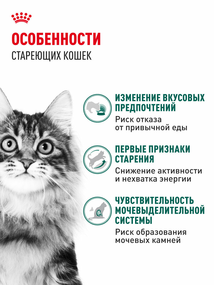 Royal Canin INSTINCTIVE 7+ (ИНСТИНКТИВ 7+) Корм консервированный полнорационный для кошек в возрасте старше 7 лет, мелкие кусочки в соусе, 28шт по 85 г — фото 1