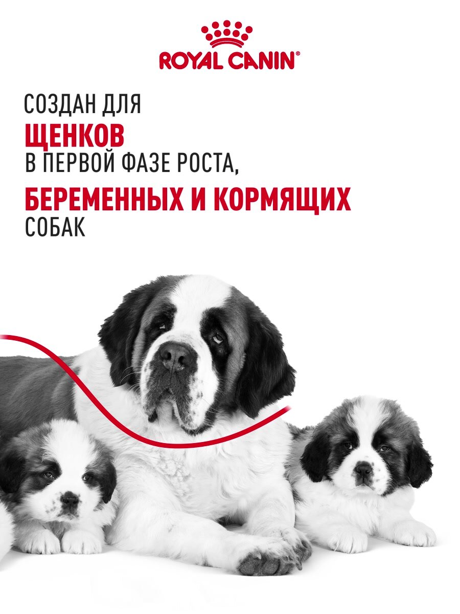 Сухой корм для щенков, беременных и кормящих собак Royal Canin Giant Starter Mother&Babydog для очень крупных пород, 4 кг — фото 1