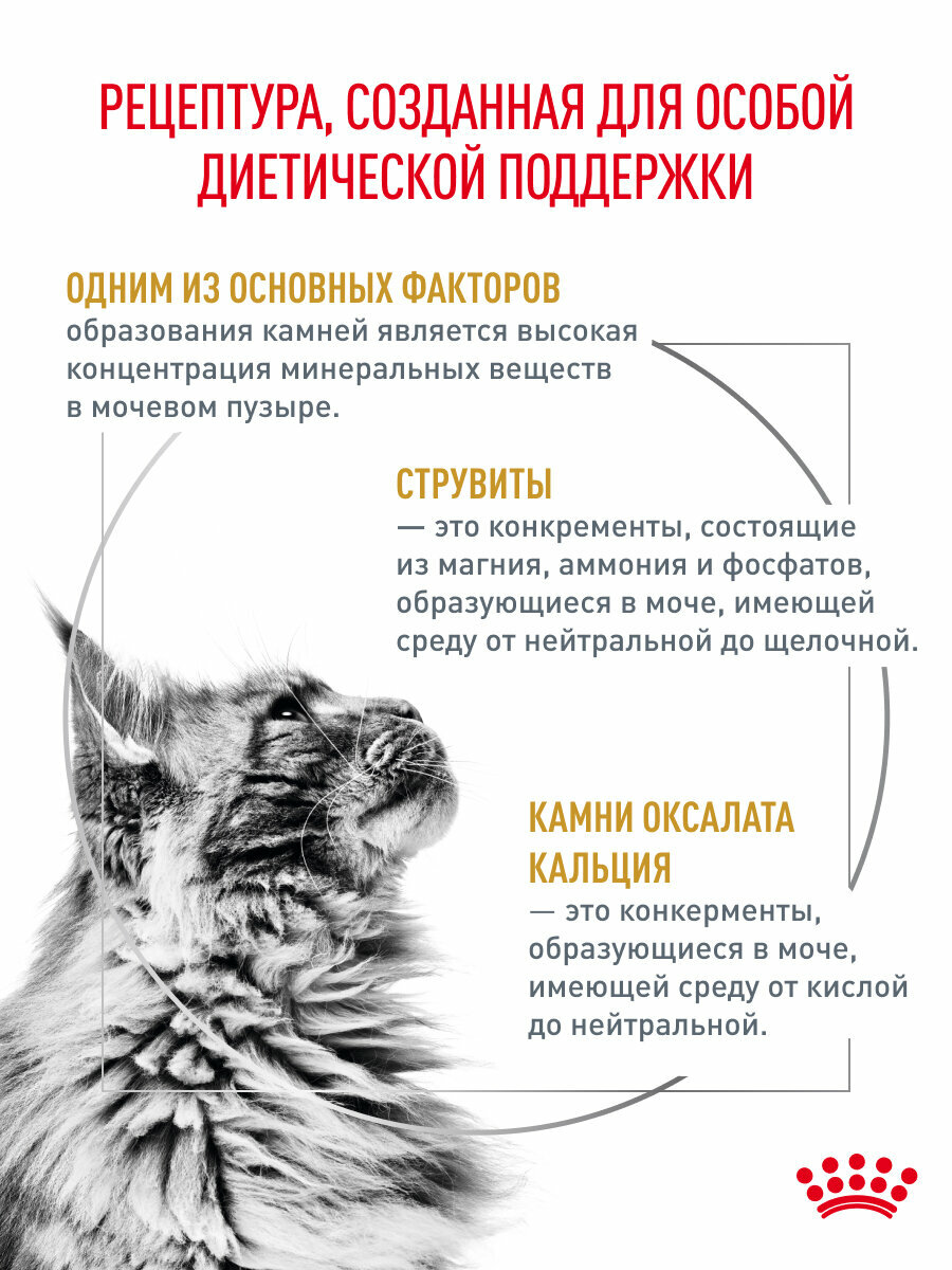 Картинки Сухой корм для кошек Royal Canin Urinary S/O при мочекаменной болезни, 0,35 кг