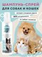 экспресс спрей