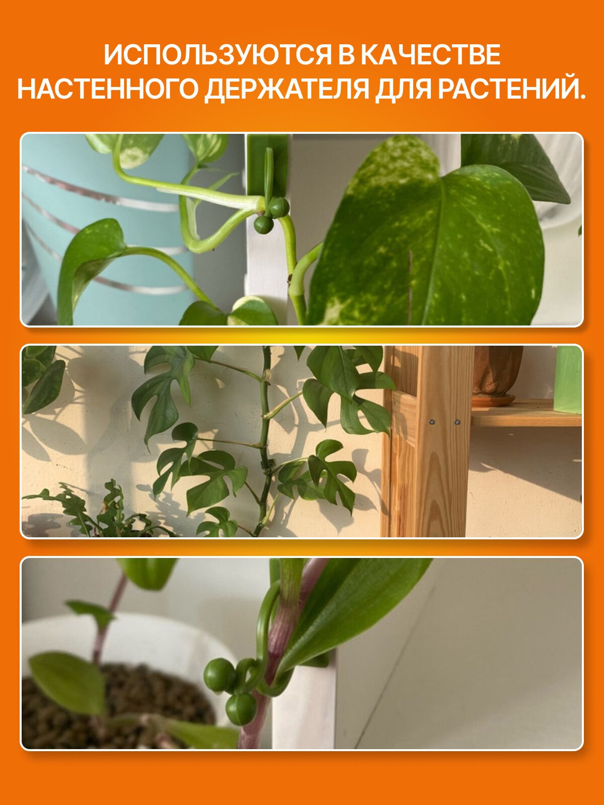 Клипса самоклеящаяся для поддержки растений, 20 шт, зеленая, пластик — фото 1