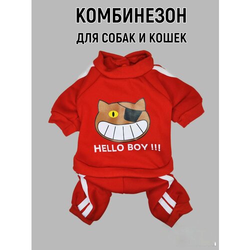 Костюм для собак и кошек Котик. Размер L. Длина спины 32-35 см. Комбинезон-пыльник