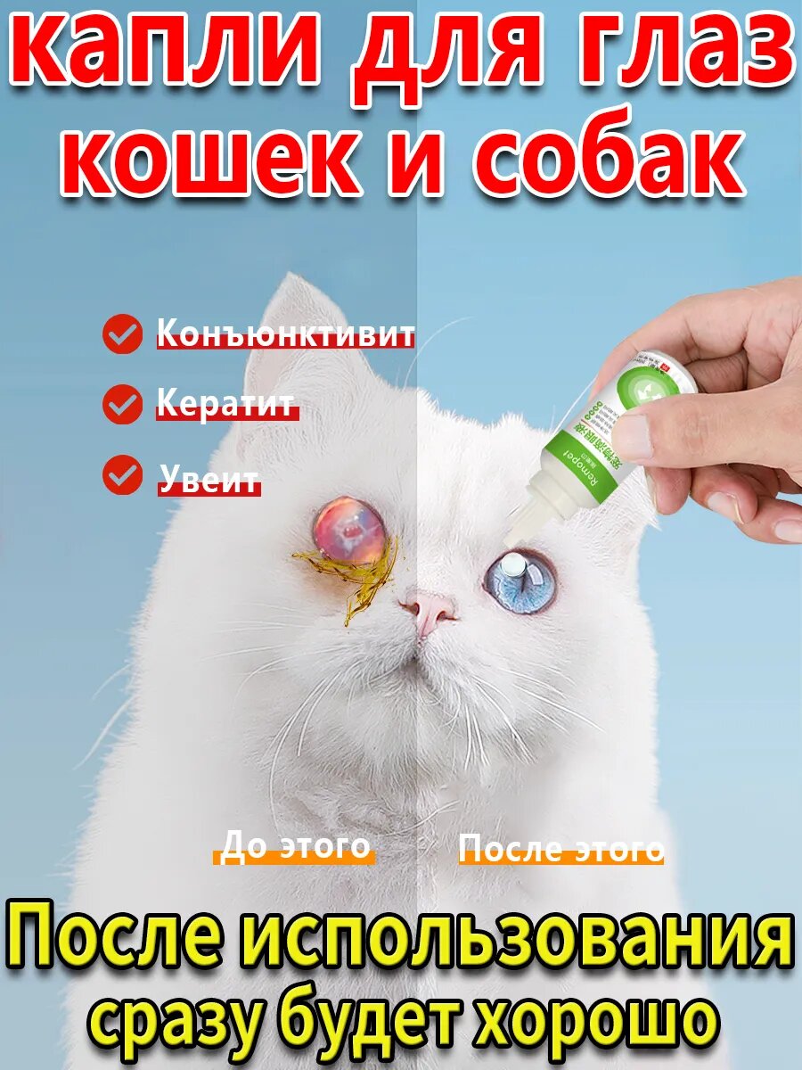Глазные капли для кошек и собак от конъюнктивита 20 мл