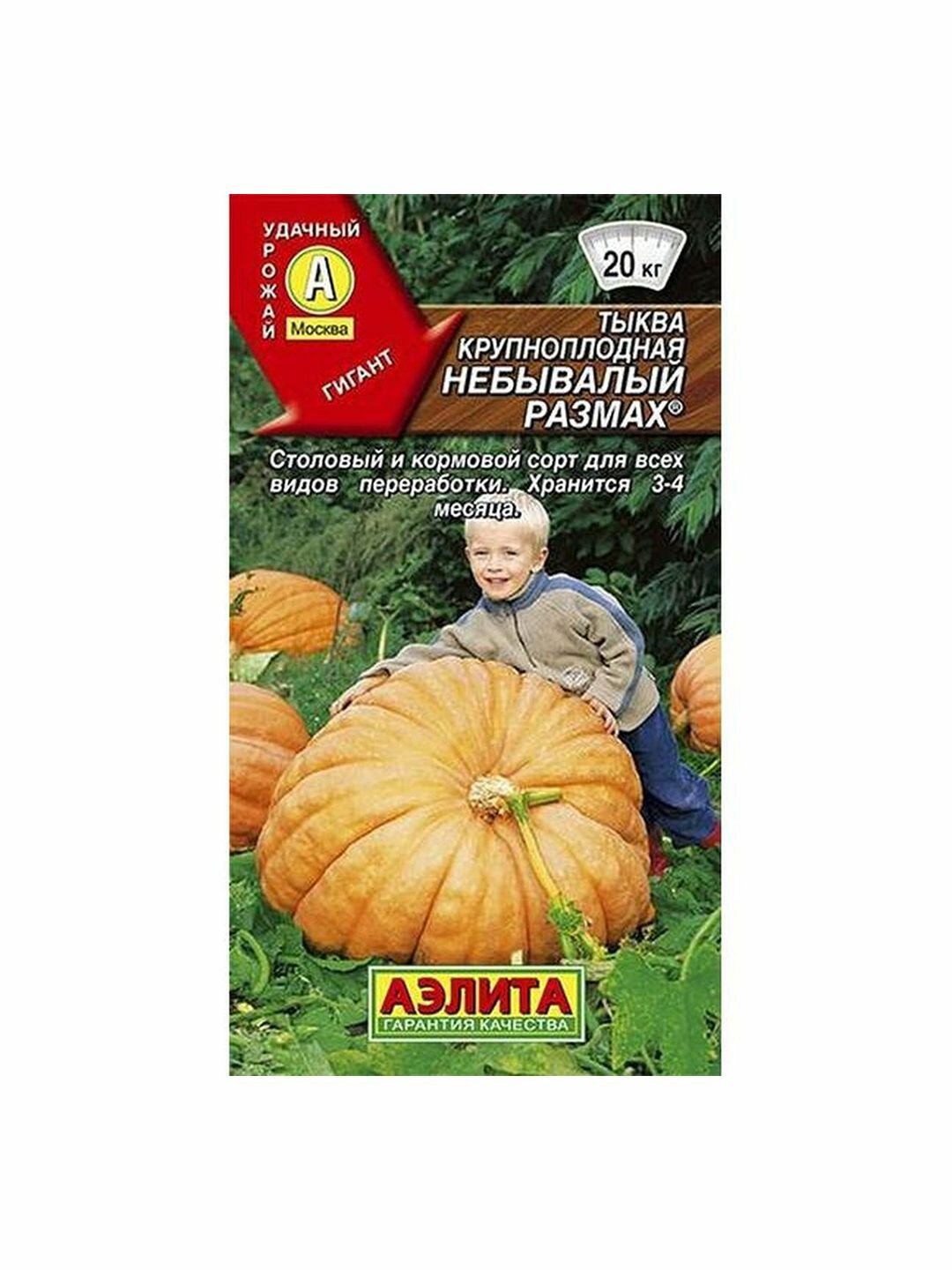 Семена Тыква Небывалый размах Аэлита 1 пачка - 2г семян