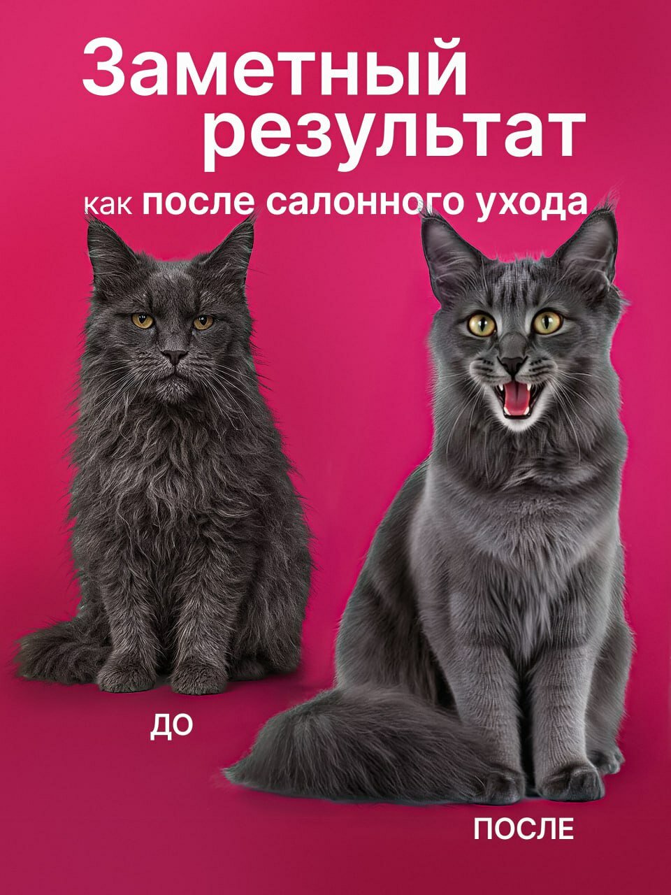 Картинки Расчёска-щётка паровая Favorite Pets! для кошек и собак, силикон, ABS-пластик, USB, розовая