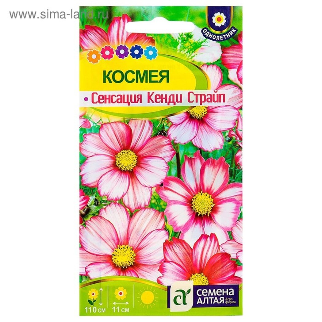 Семена цветов Семена Алтая 