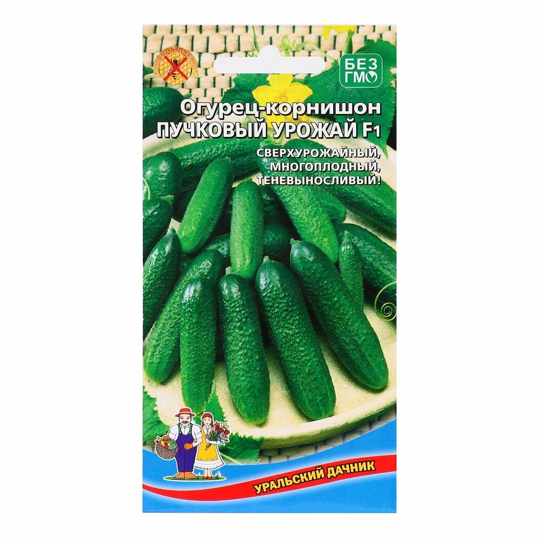 Семена Огурец Уральский Дачник  Пучковый урожай   в упаковке 10 штук