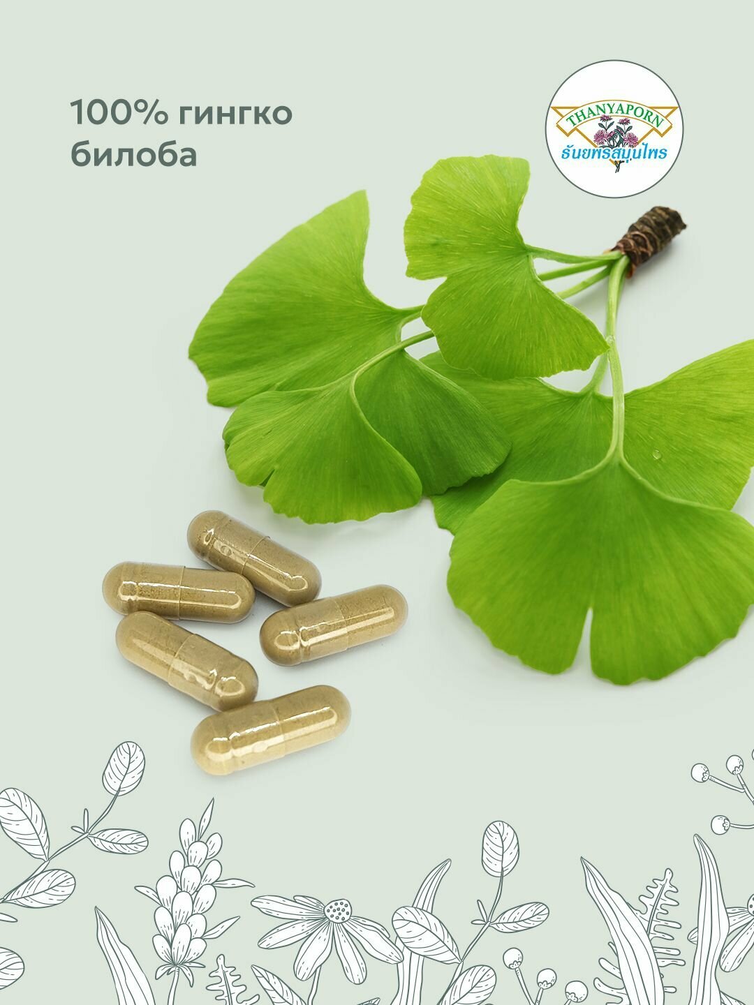 Картинки Капсулы экстракт гинкги билоба Compound Ginkgo Biloba capsule 100% Thanyaporn Herbs для улучшения памяти, 100 шт.