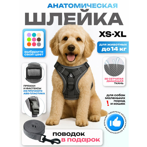 Шлейка прогулочная для собак и кошек регулируемая Wonder Pet / размер L / коричневая