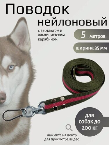 Изображение товара Поводок Хвостатыч для собак с вертлюгом и альпинистским карабином нейлон 5 м х 35 мм (зелено-красный)