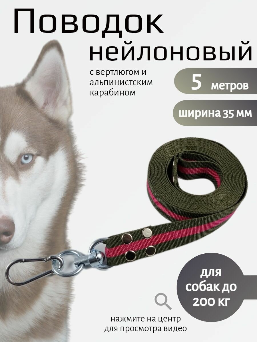 Поводок для собак с вертлюгом и альпинистским карабином нейлон 5 м х 35 мм (зелено-красный)