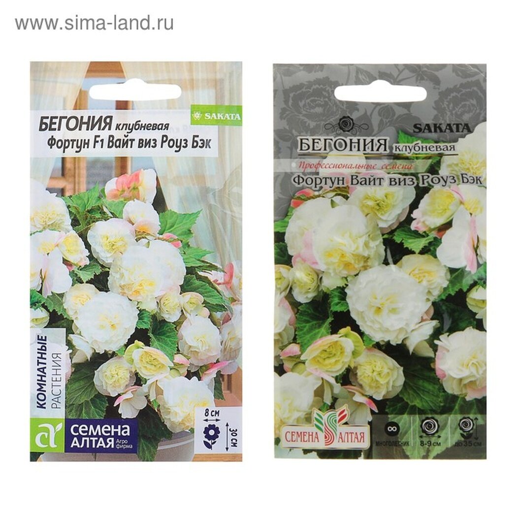 Семена цветов Бегония 