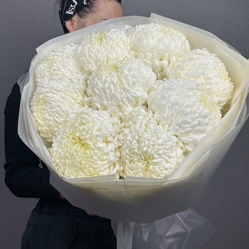 Изображение товара Букет из белых хризантем 11 шт, красивый букет цветов, шикарный, премиум цветы, премиум букет