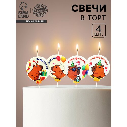 Свечи Страна Карнавалия Капибара парафиновые хлопок 4 шт 359₽