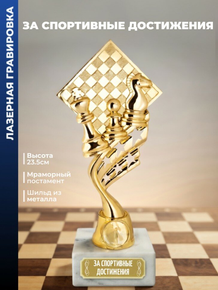 Кубок шахматы "За спортивные достижения" (23,5 см)