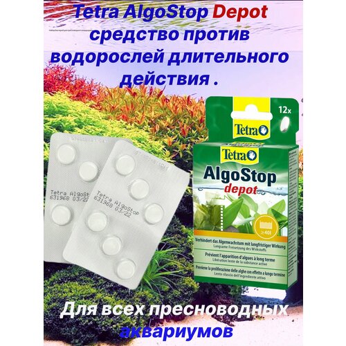 Tetra AlgoStop Depot средство против водорослей длительного действия 12 таблеток на 480 л.